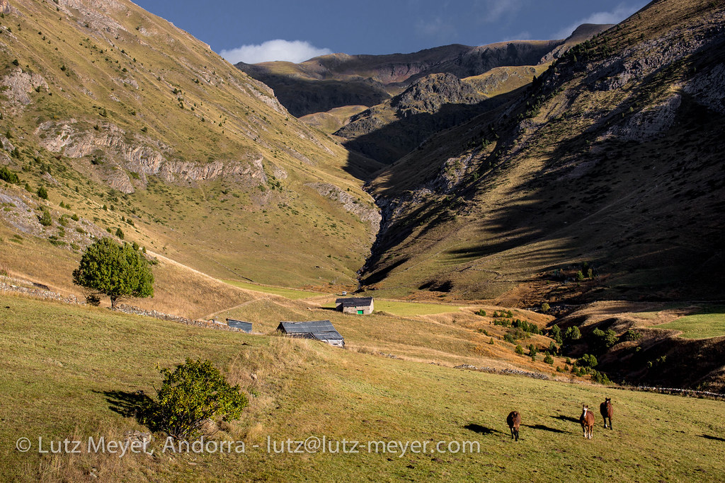 Terreny en venda a Canillo, 3200 metres