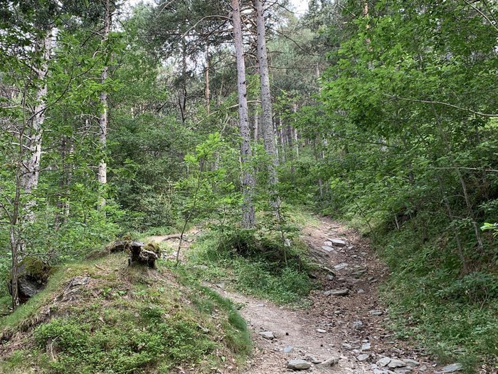 Terreny en venda a Escàs, 1000 metres