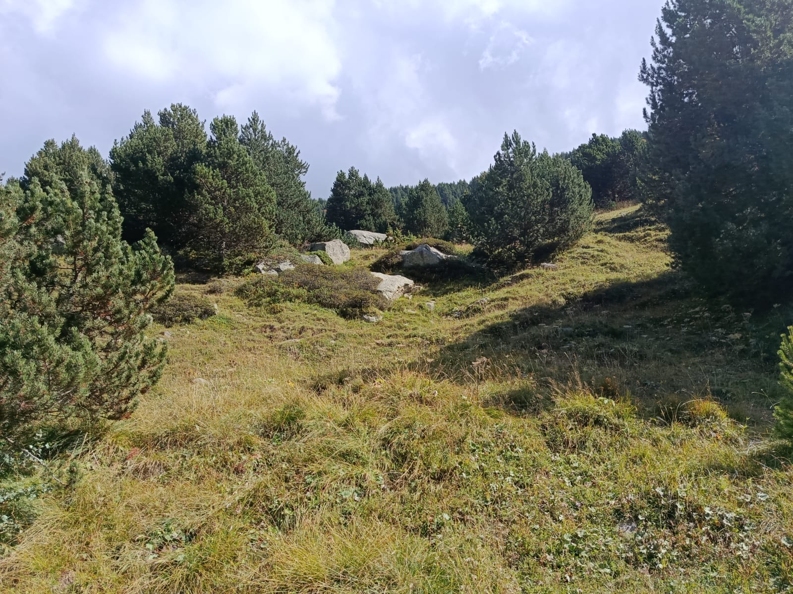 Terreny en venda a Els Cortals, 3522 metres