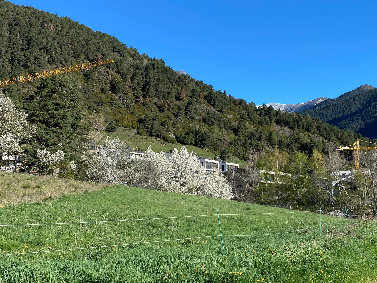 Terreny en venda a Escàs, 1768 metres