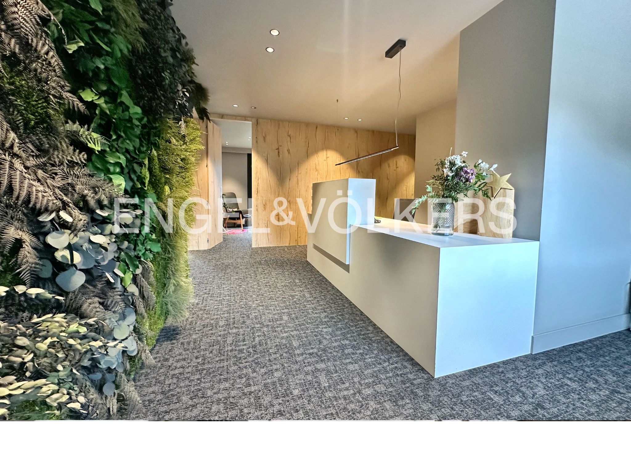 Despatx de lloguer a Andorra la Vella, 180 metres